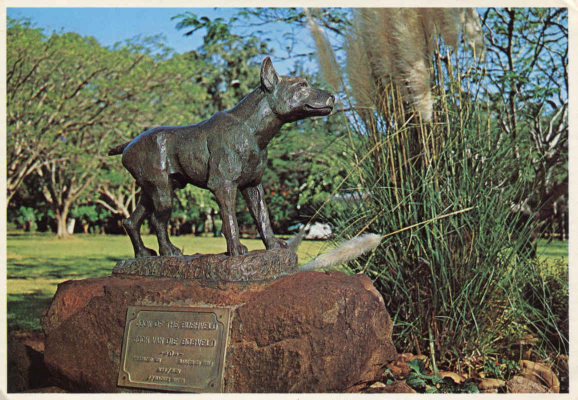 Jock of the Bushveld Barberton
