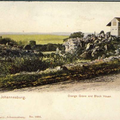 Johannesburg Orange Grove &amp; Block House