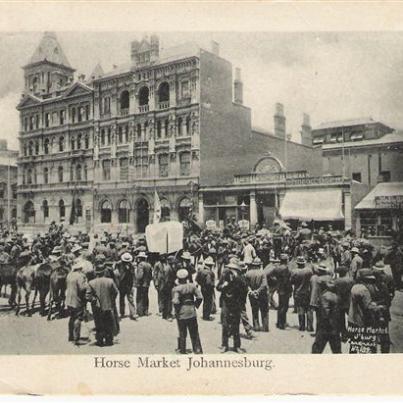 Johannesburg Horse Market