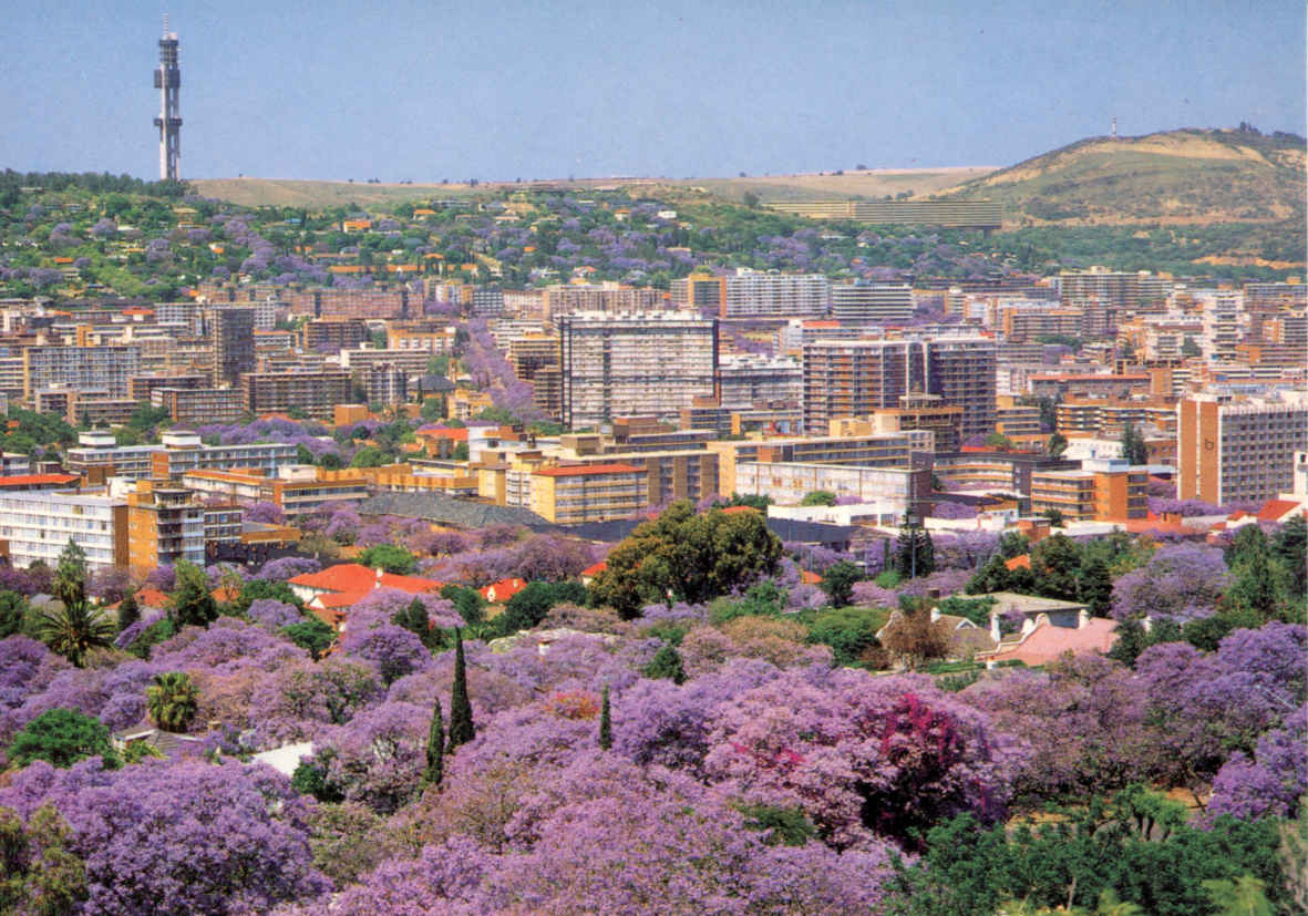 City of Jacarandas Pretoria