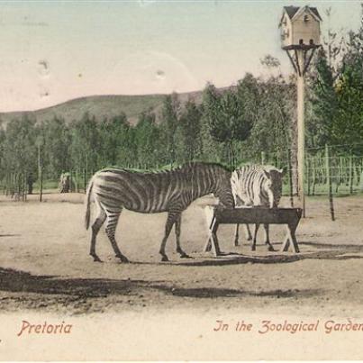 Pretoria In the Zoological Garden