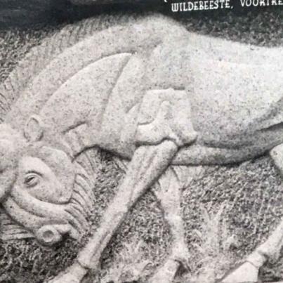 Wildebeete relief Voortrekker Monument