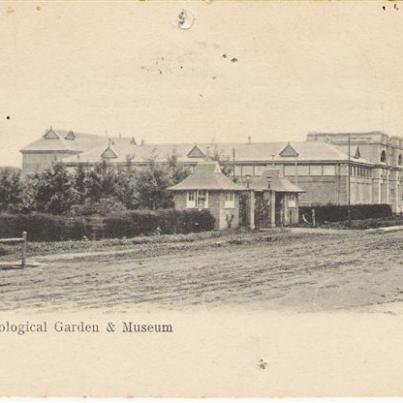 Pretoria Zoological Garden &amp; Museum