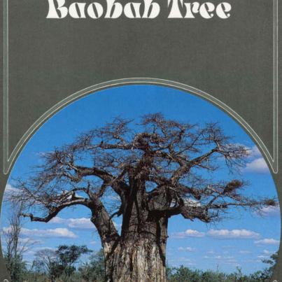 Baobab Tree