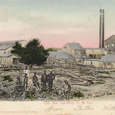 Mine City &amp; Suburban G.M. Coy