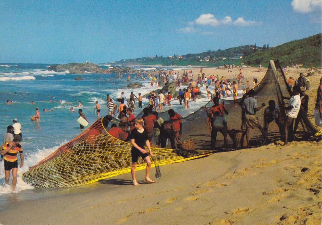 The Sardine Run, Natal
