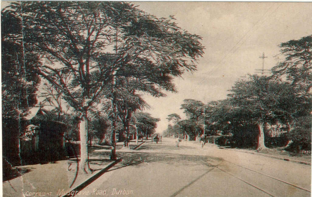 Durban Musgrave Road