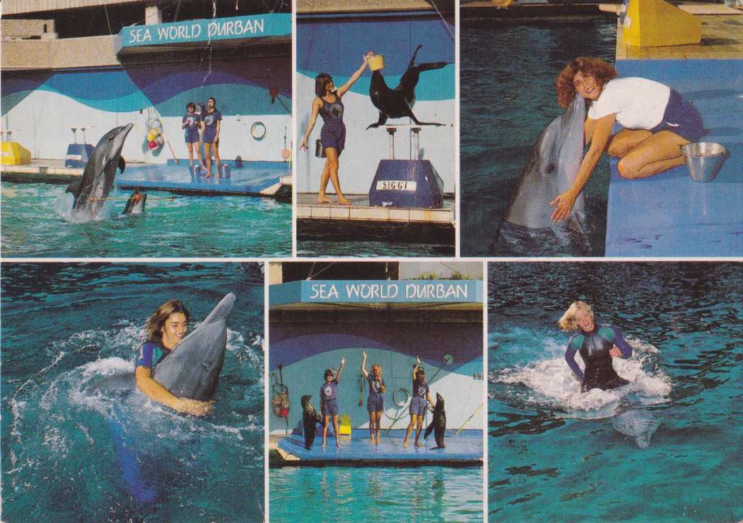 Sea World2, Durban