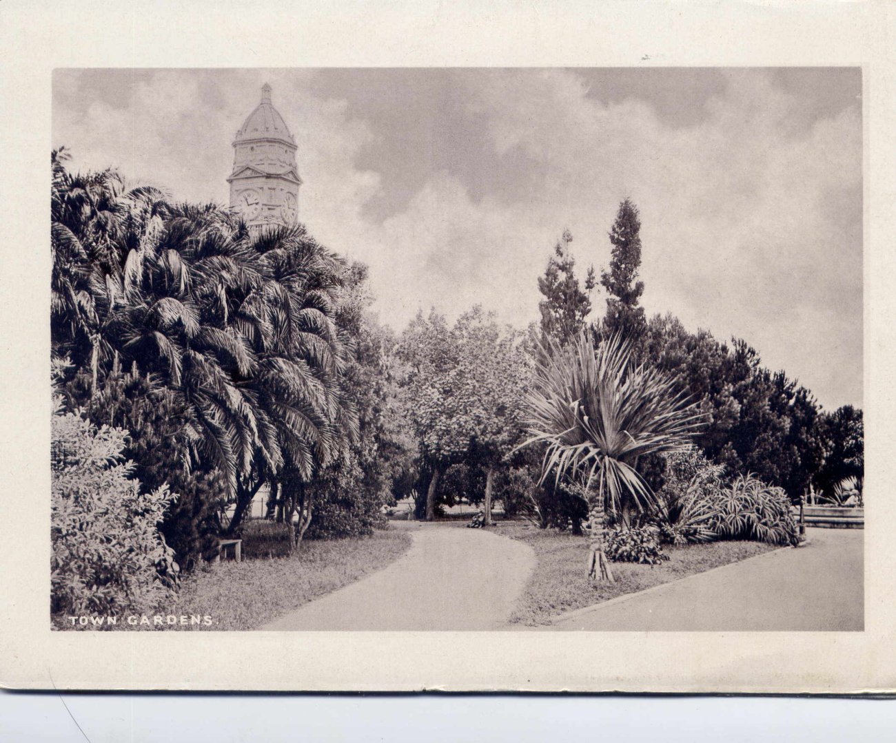 Natal, Town Gardens