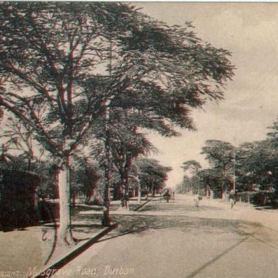 Durban Musgrave Road