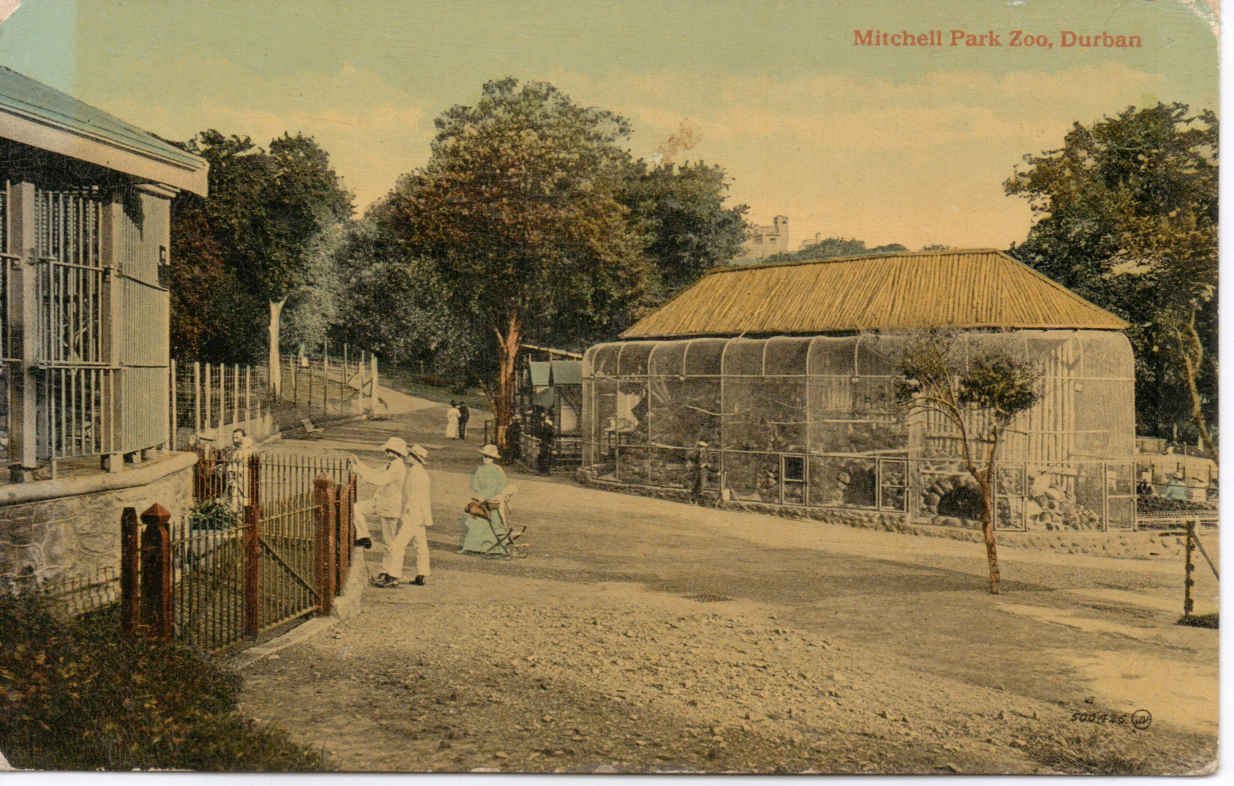 Durban, Mitchell Park Zoo