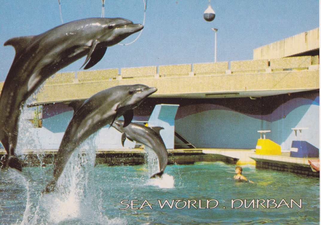Sea World, Durban