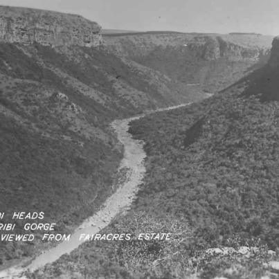 Oribi Gorge_Heads