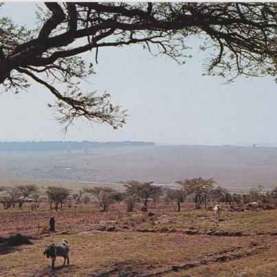 Rorke's Drift Mission Station, Natal