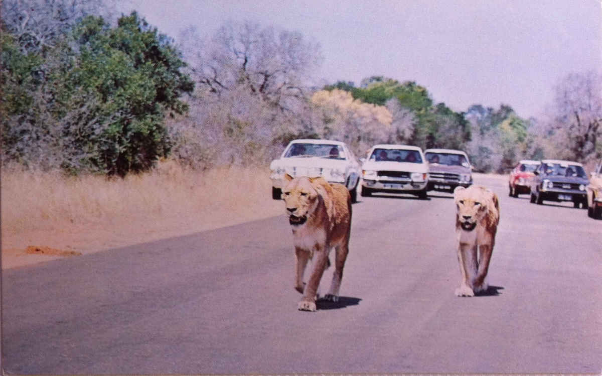 Nasionale Krugerwildtuin, Voetgangers