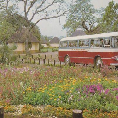 Satara Camp, Kruger National Park