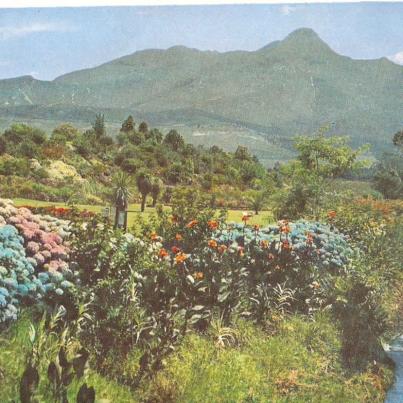 George, Van Riebeeck Gardens