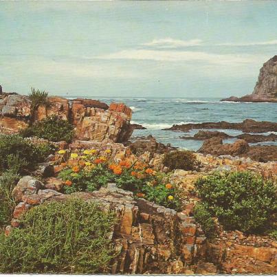 Knysna, Die Koppe (The Heads)