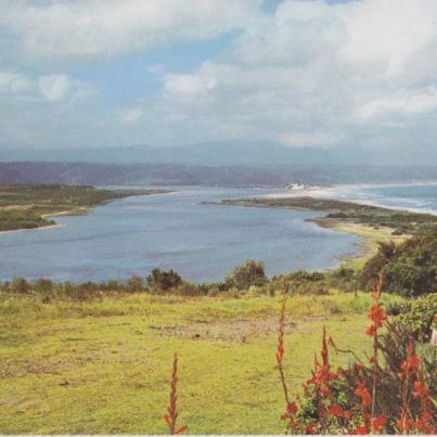 Plettenbergbaai copy