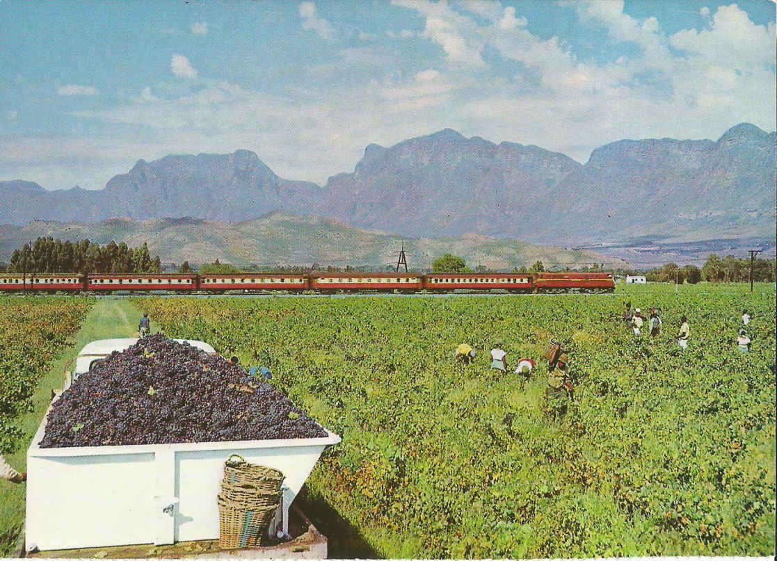 Wolseley, Die Trans-Karoo naby Wolseley K.P.
