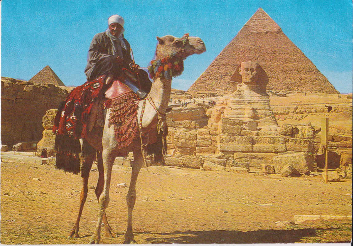 Camel driver near Sphinx and Kafhre Pyramid