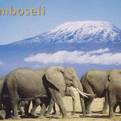 Elephants and Kilimanjaro, Amboselli Park, Kenia