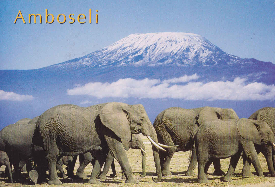 Elephants and Kilimanjaro, Amboselli Park, Kenia