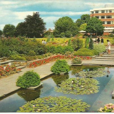 Colchester, Lily Pond, Castle Park