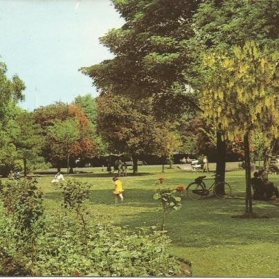 Chelmsford, Central Park