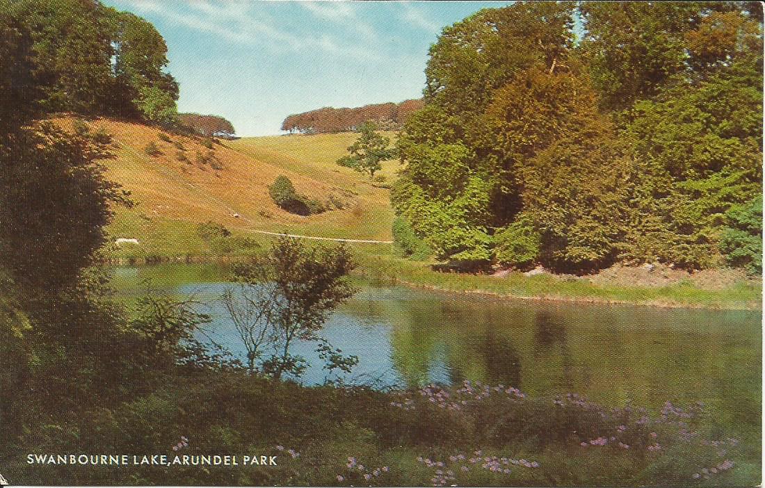 Sussex, Swanbourne Lake, Arundel Park
