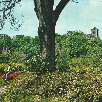 Leicestershire, Oaks in Charnwood