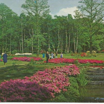 Surrey, Richmond Park,Woodland Garden &amp; Thomson's Pond