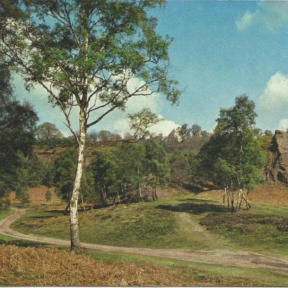 Worcestershire, Habberley Valley near Kidderminster