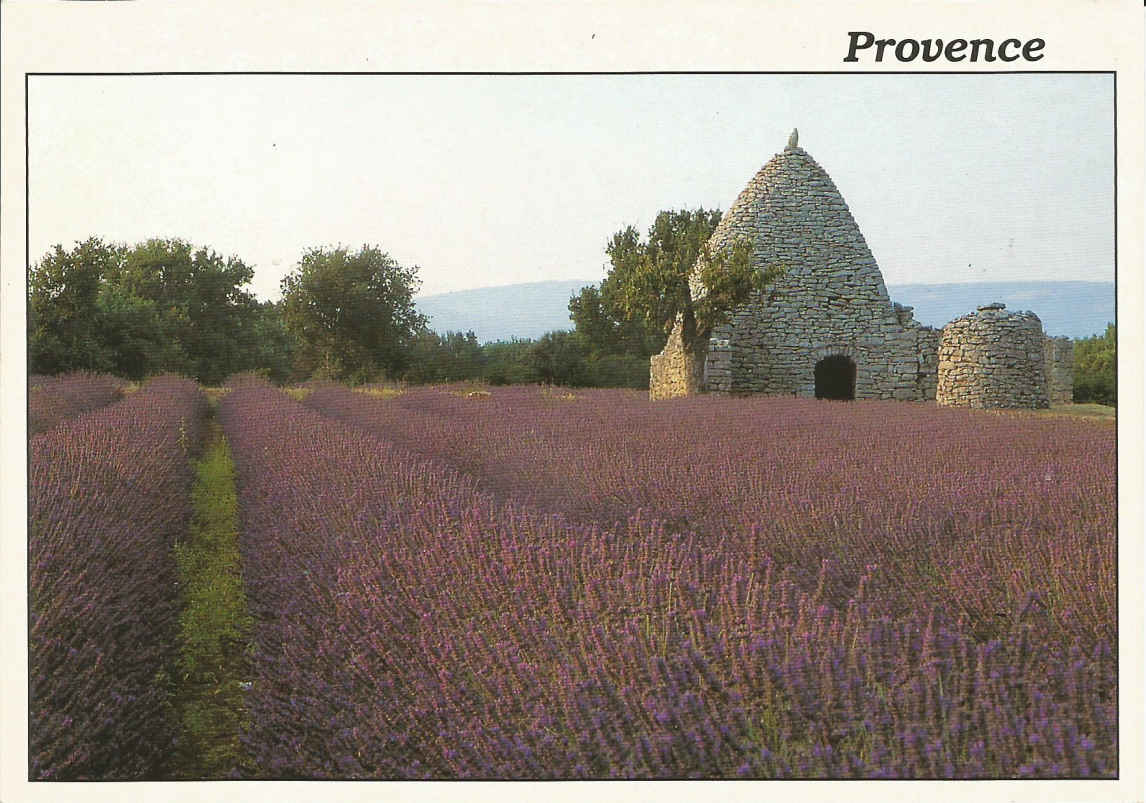 Provence, Fields of Lavender