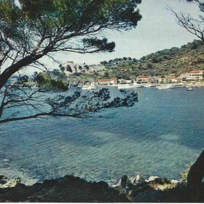 Var, Port-Cros Island, General View