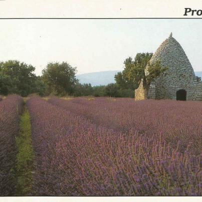 Provence, Fields of Lavender