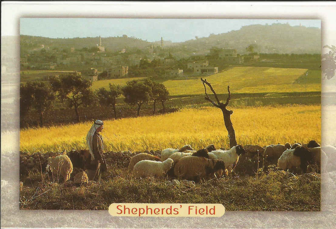 Bethlehem, Shepherds' Field