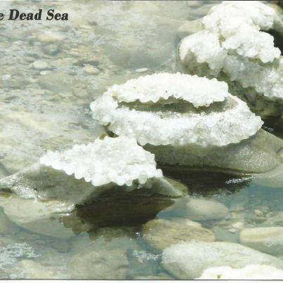 The Dead Sea