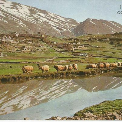 Golan Heights_ On the slopes of Mt_ Hermon_001