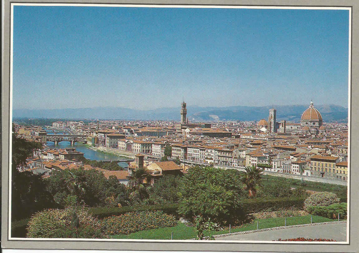 Firenze, Panorama