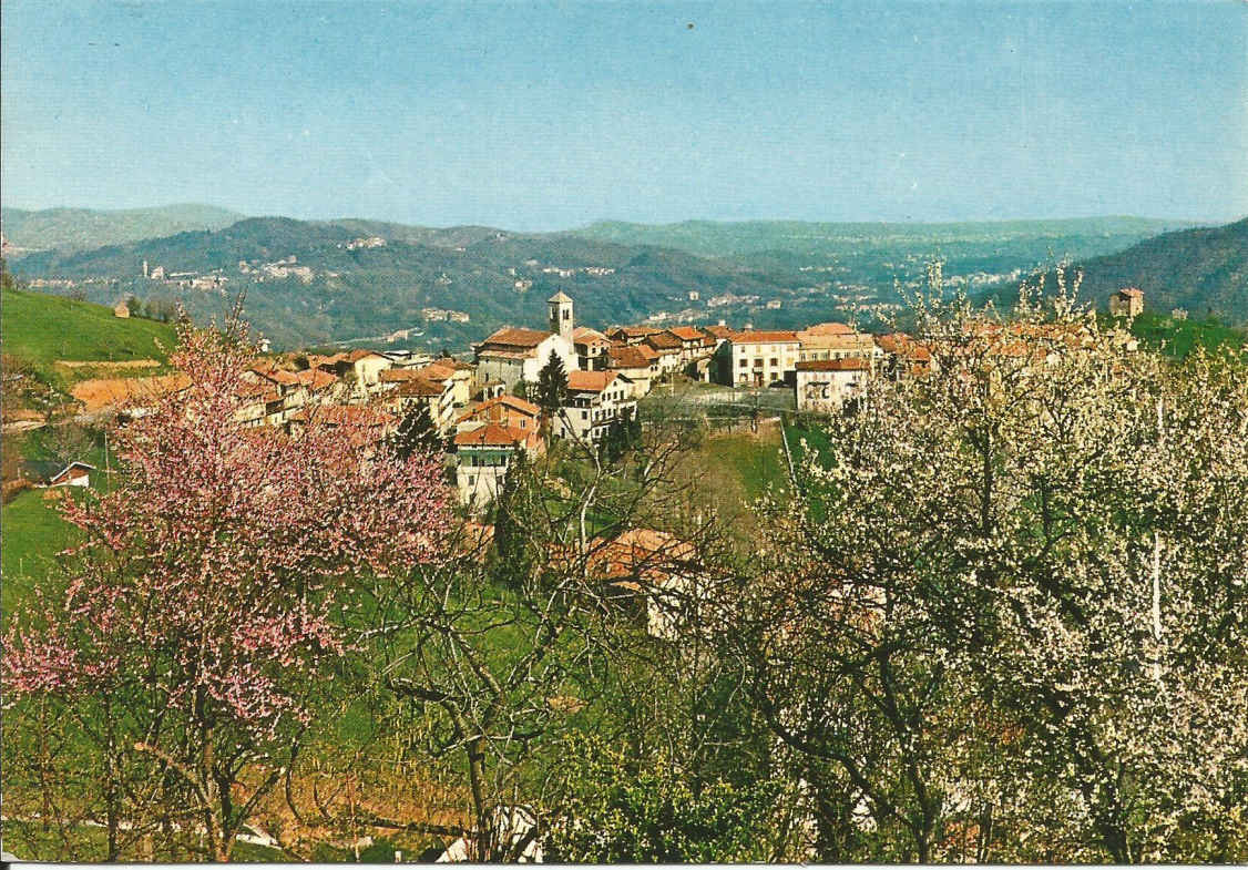 Veglio_ Springtime Panorama