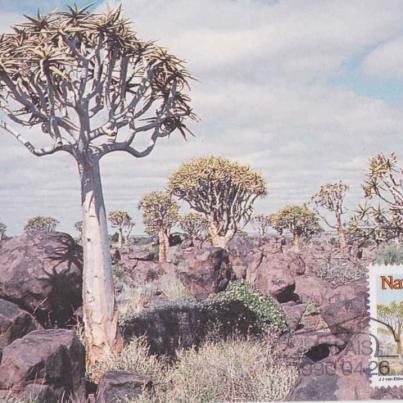 Kokerboomwoud, Keetmanshoop