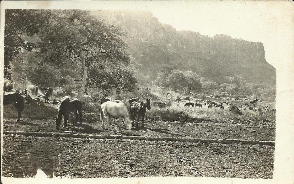 Waterberg6