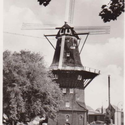 Amsterdam, Mill De Gooyen