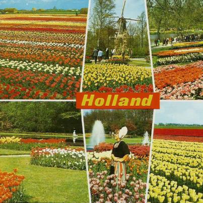 Holland, Holland in bloementooi (flowerdecoration)_2