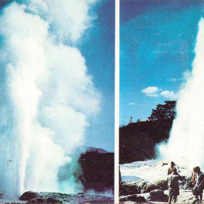 New Zealand_ Pohutu Geyser at Whaka