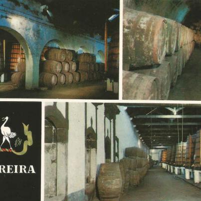 Ferreira Porto Portugal Wine