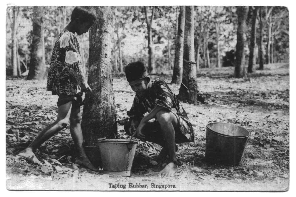 Singapore - Taping Rubber