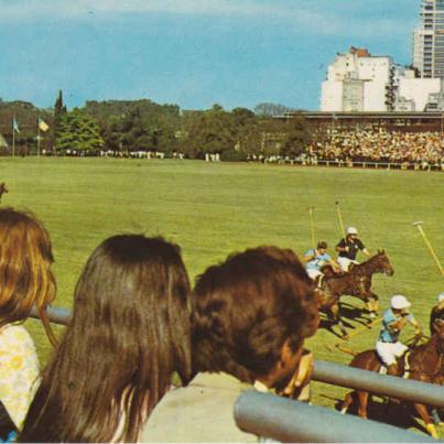 Argentine Polo