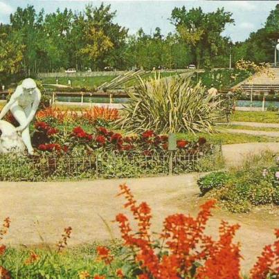 Argentina, Rose garden and lake, Mendoza